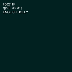 #00211F - English Holly Color Image
